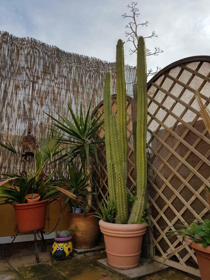 La Casa Azul Almeria Ngoại thất bức ảnh